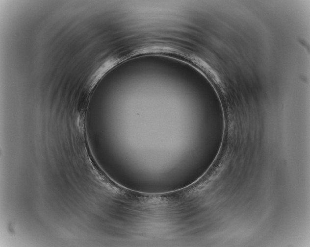 X0000098010945200803281309