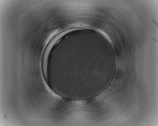 X0000098010946200803281309