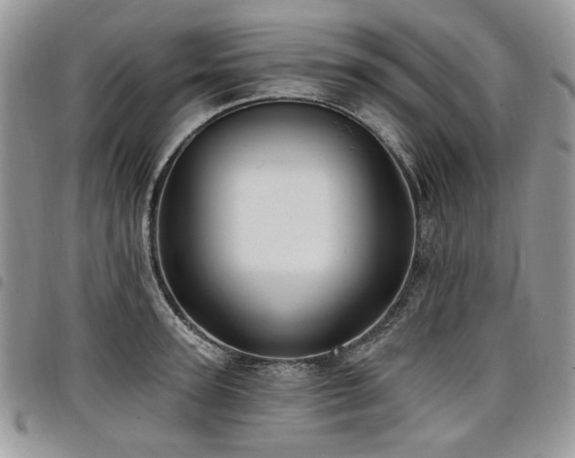 X0000098010947200803281309