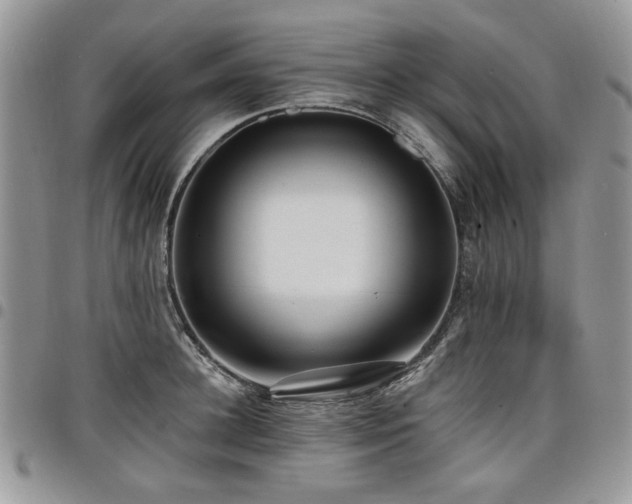 X0000098010948200803281309