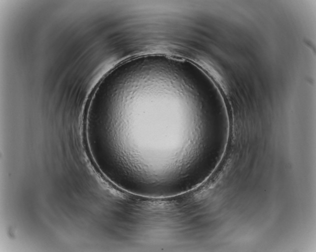 X0000098010949200803281309