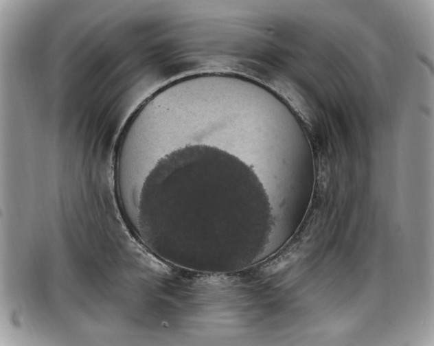 X0000098010950200803281309