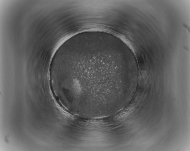 X0000098010951200803281309