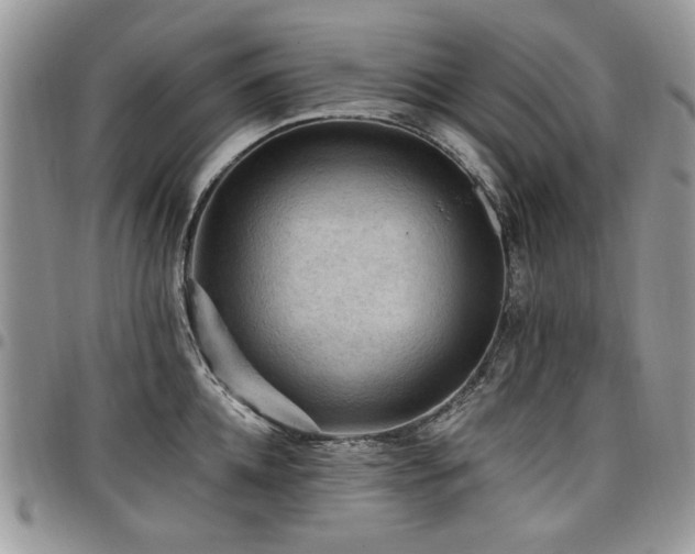 X0000098010952200803281309