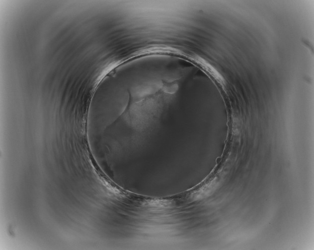 X0000098010953200803281309