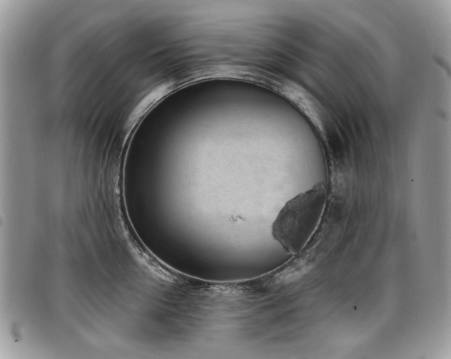 X0000098010954200803281309