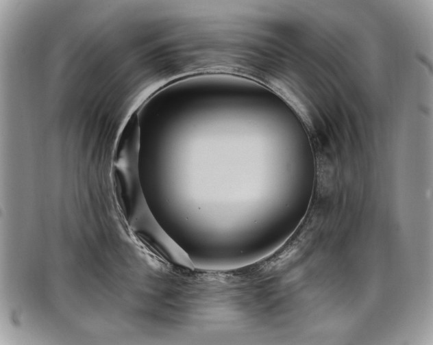 X0000098010956200803281309