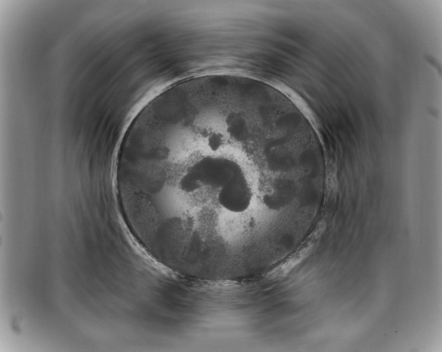 X0000098010957200803281309