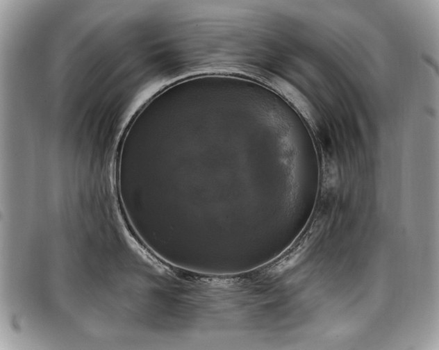 X0000098010958200803281309