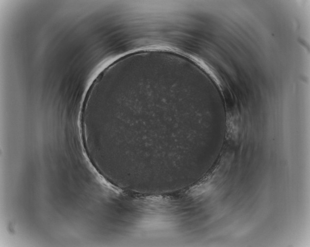 X0000098010959200803281309