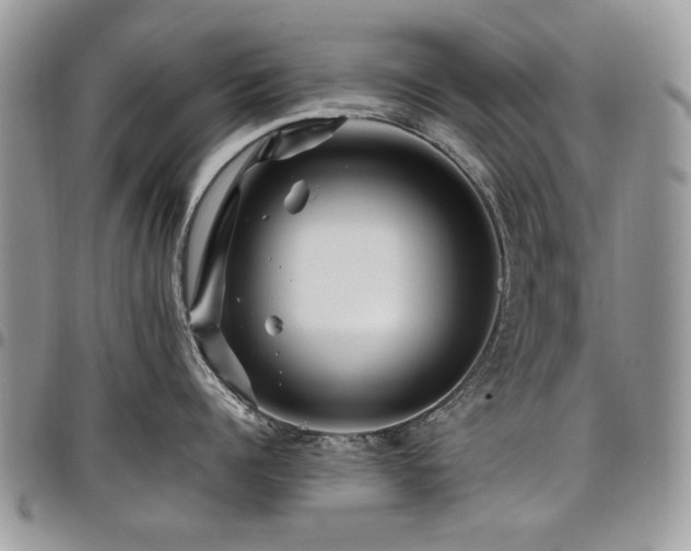 X0000098010960200803281309