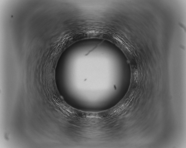 X0000098010961200803281309