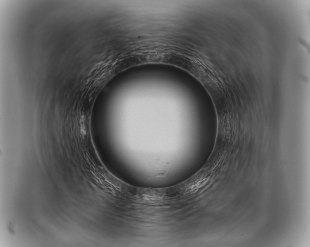 X0000098010962200803281309