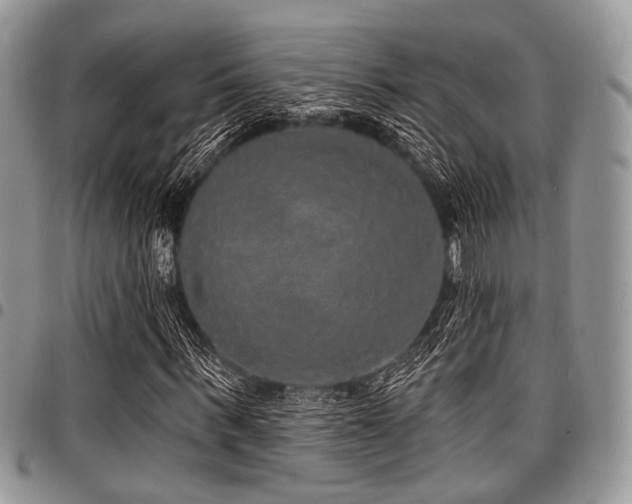 X0000098010963200803281309