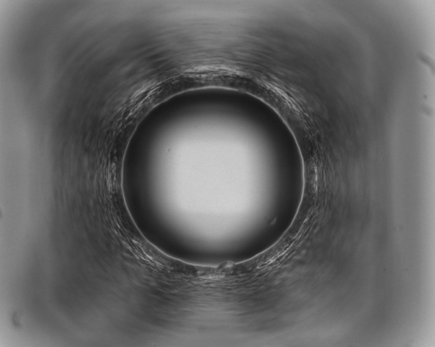 X0000098010965200803281308