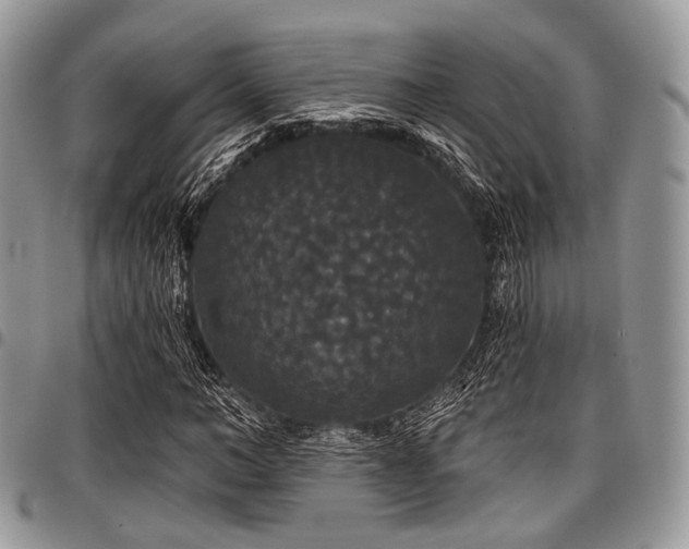 X0000098010966200803281308