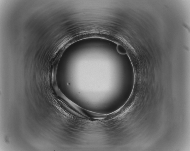 X0000098010969200803281308