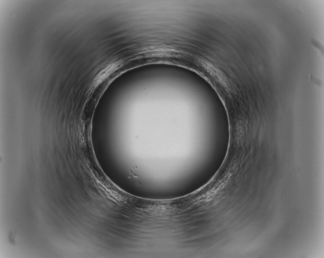 X0000098010970200803281308