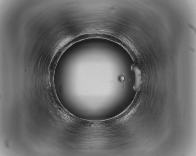 X0000098010974200803281308