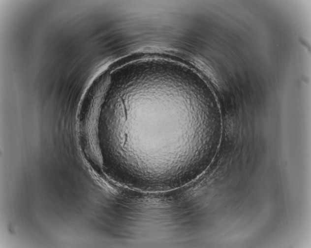 X0000098010976200803281308