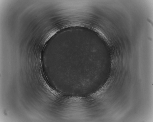 X0000098010977200803281308