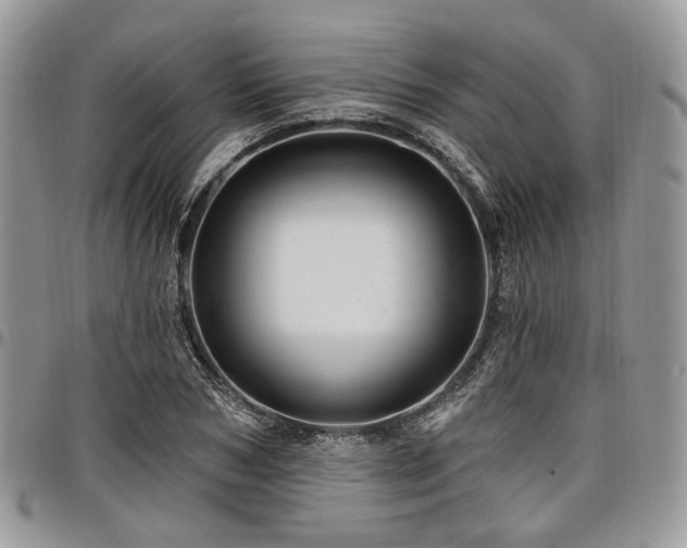 X0000098010978200803281308