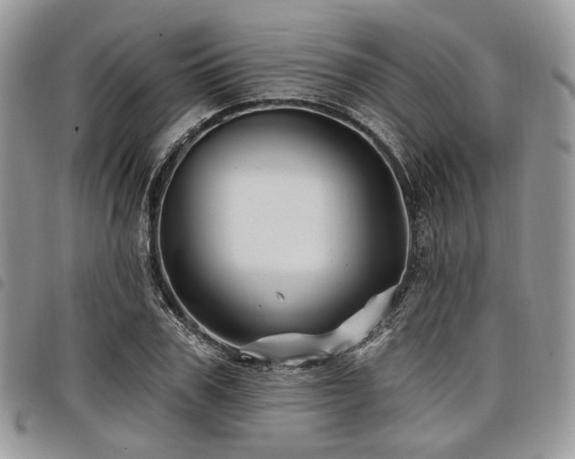 X0000098010979200803281308