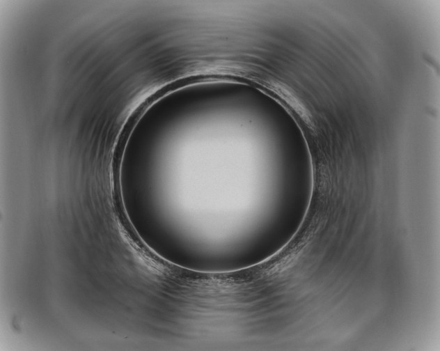 X0000098010980200803281308