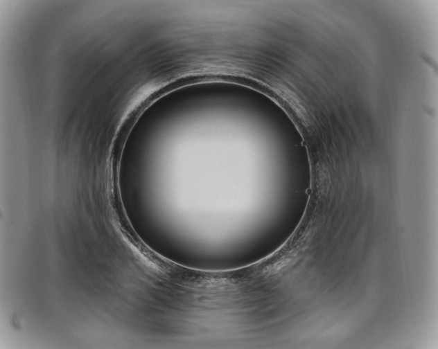 X0000098010982200803281308