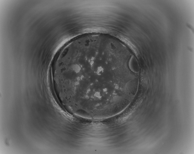 X0000098010983200803281308