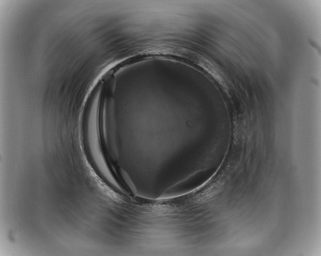 X0000098010984200803281308