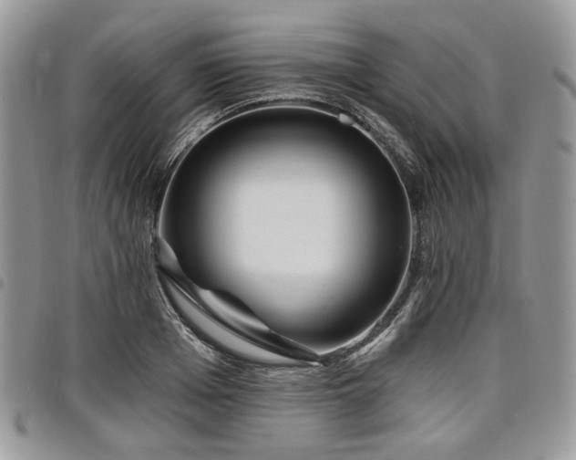 X0000098010985200803281308