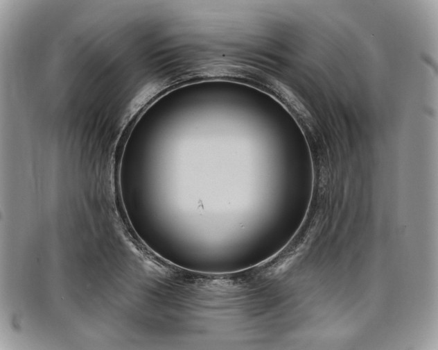 X0000098010986200803281308