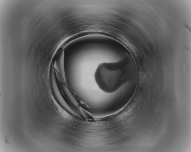 X0000098010988200803281308