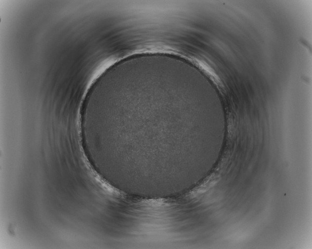 X0000098010990200803281308