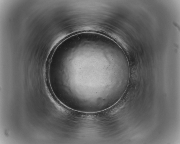 X0000098010991200803281308