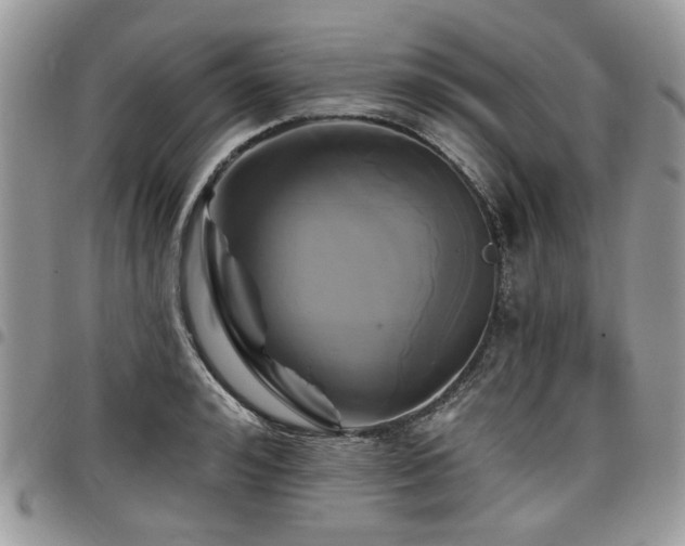 X0000098010992200803281308