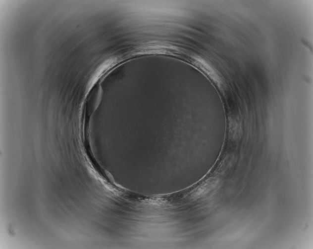 X0000098010994200803281308