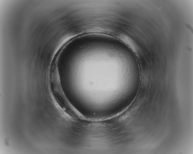 X0000098011000200803281308