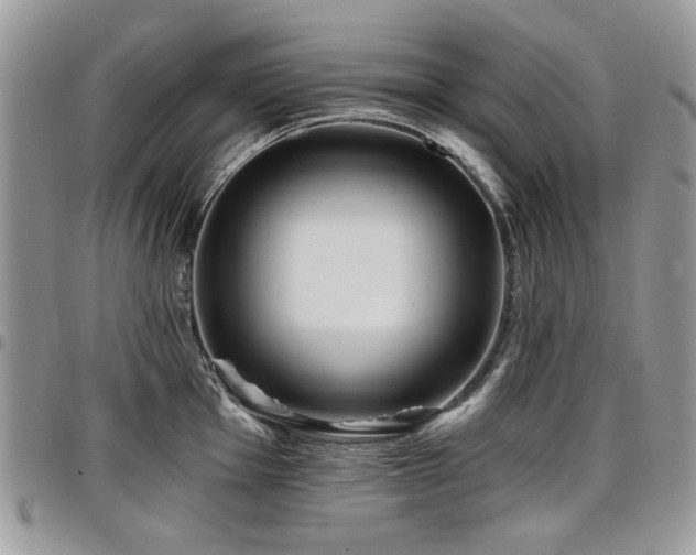 X0000098011001200803281308