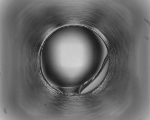 X0000098011004200803281308