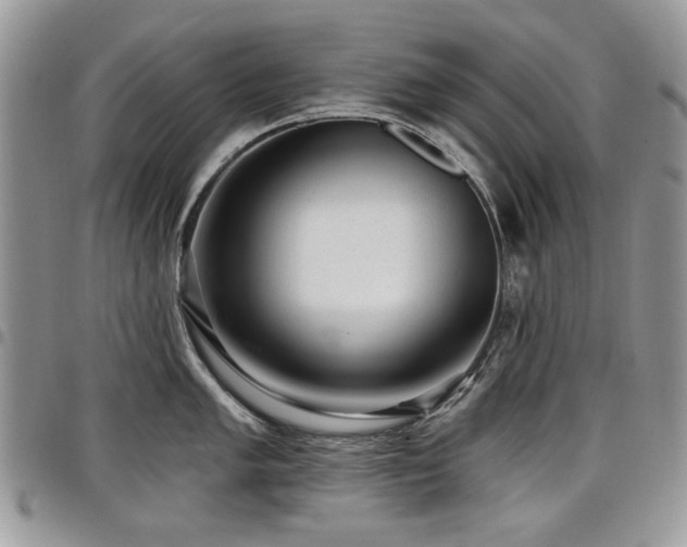 X0000098011005200803281308