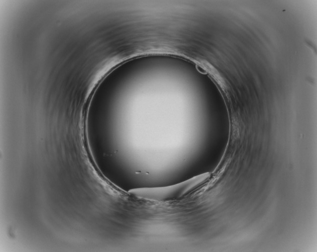 X0000098011006200803281308