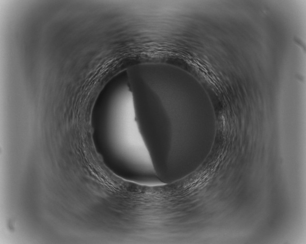 X0000098011009200803281307