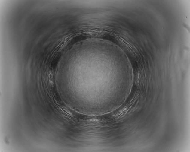 X0000098011010200803281307