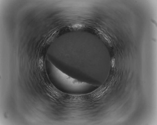 X0000098011011200803281307