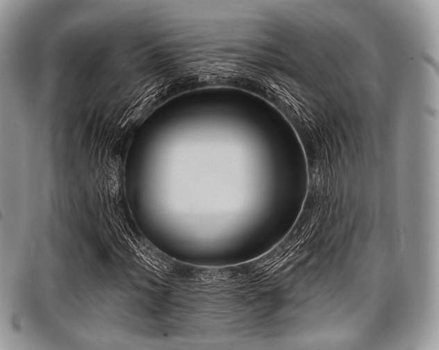 X0000098011012200803281307