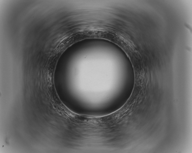 X0000098011013200803281307