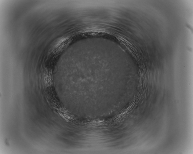 X0000098011014200803281307