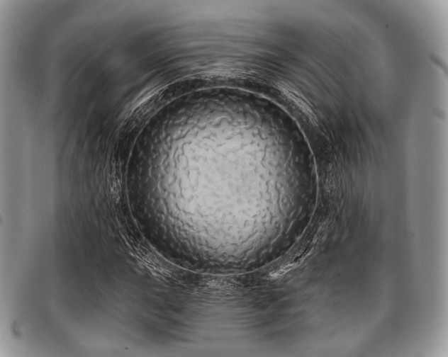 X0000098011015200803281307